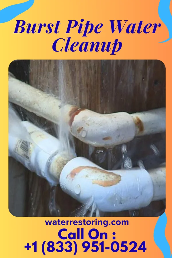 Burst Pipe Water Cleanup in Hayward, MN