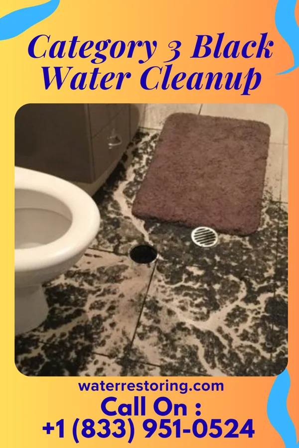 Category 3 Black Water Cleanup in Hayward, MN