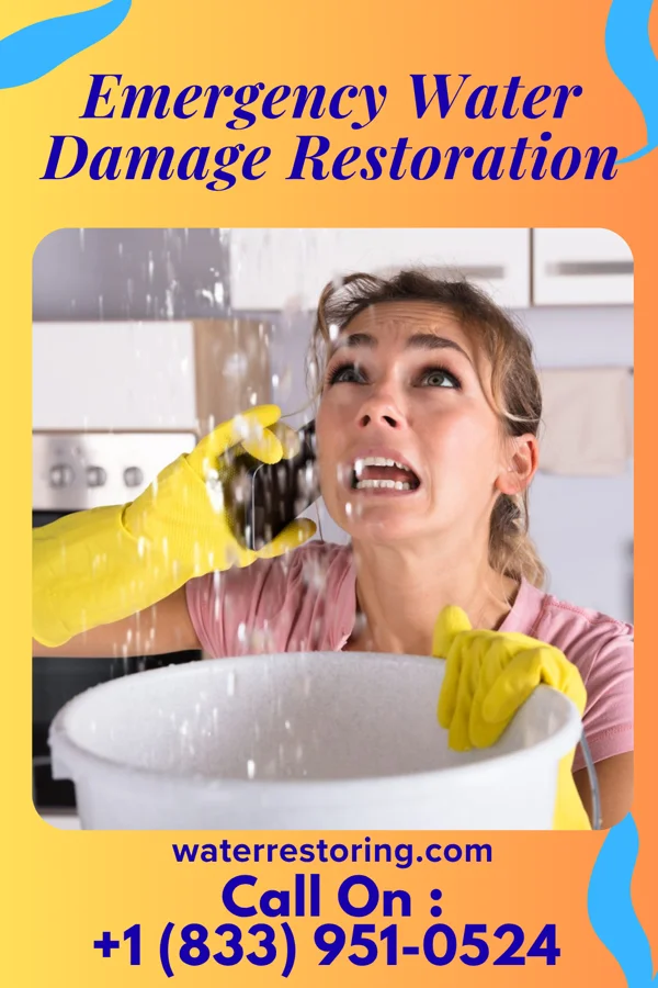 Emergency Water Damage Restoration in Hayward, MN