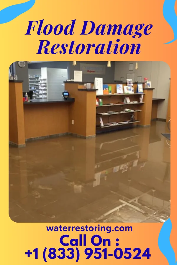 Flood Damage Restoration in Hayward, MN