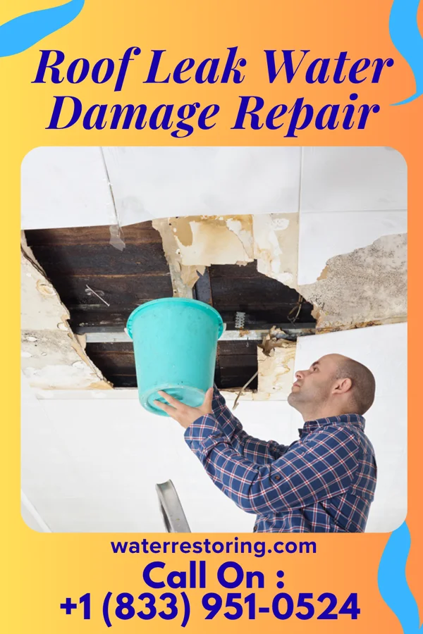 Roof Leak Water Damage Repair in Hayward, MN