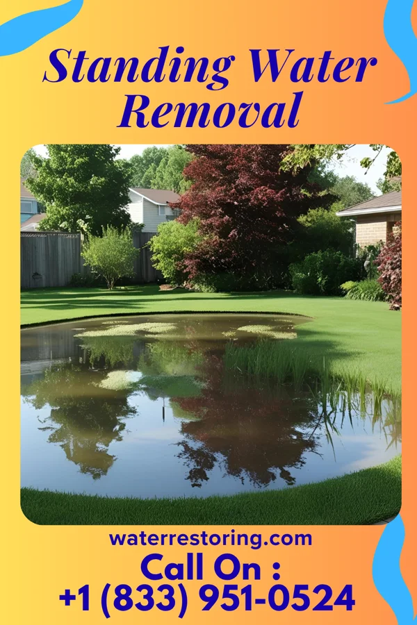 Standing Water Removal in Hayward, MN